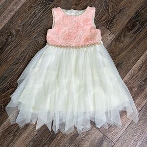 American Princess Dress NWOT